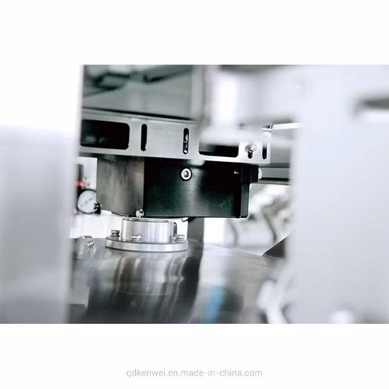 Hochpräzise Waage, 200 g, automatische Kontrollwaage für Lebensmittelgewicht, Sortiermaschine mit Bandförderer, Wiegekontrolle, Kontrollwaage